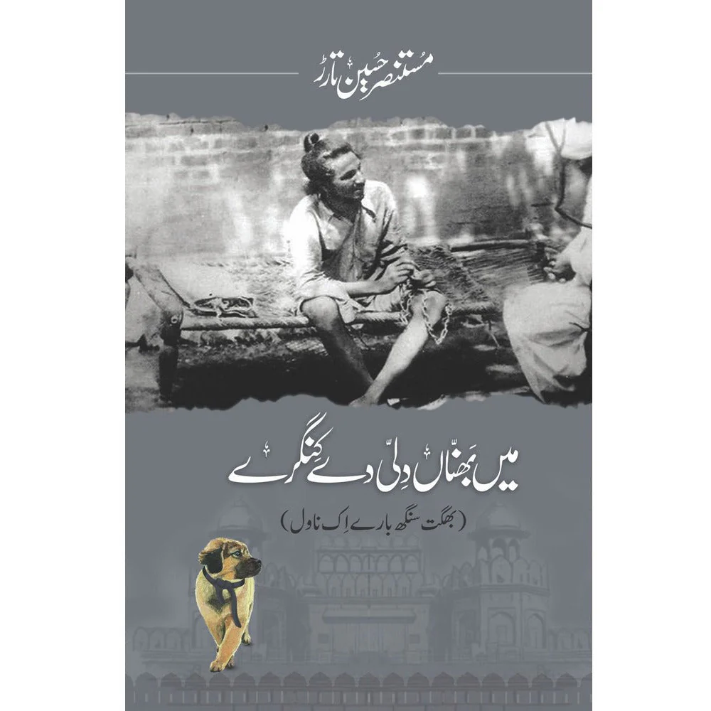 Mein BhannaN Dilli De Kingray