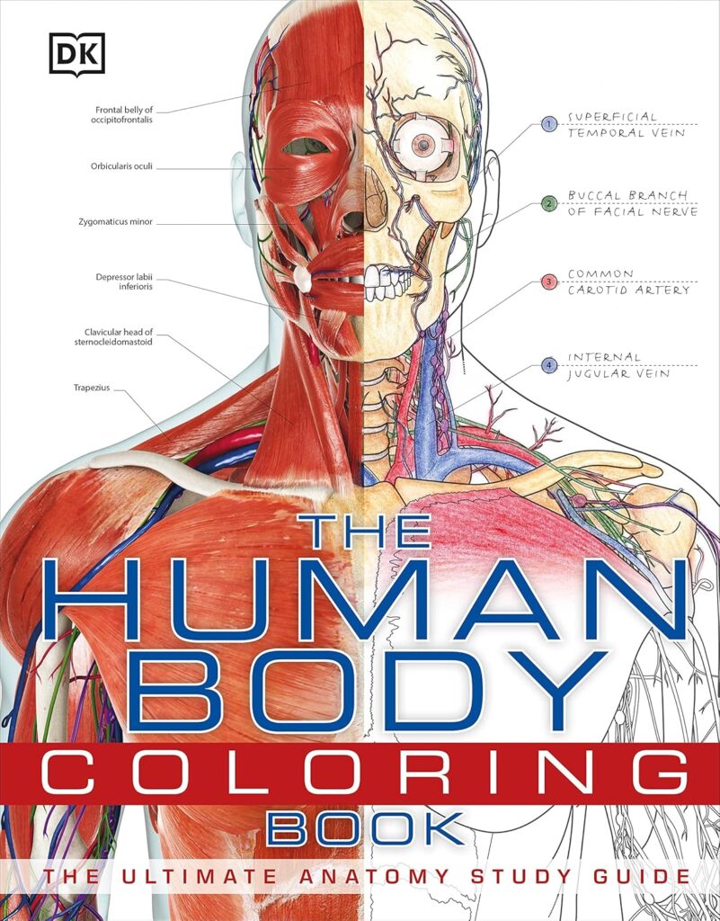 The Human Body Coloring Book The Ultimate Anatomy Study Guide (DK Human Body Guides)
