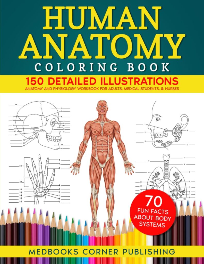 Human Anatomy Coloring Book: 150 Detailed Illustrations & 70 Fascinating Facts in an Anatomy and Physiology Workbook for Adults, Medical Students, & Nurses